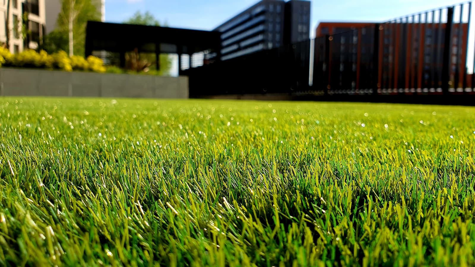 Sunset Landscaping — Brand & Web